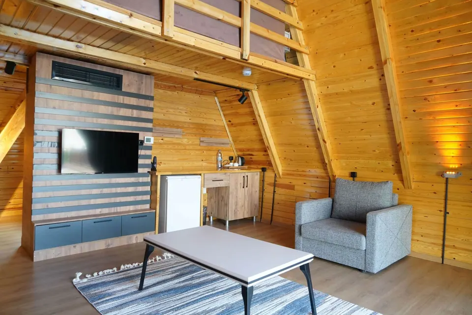 Standart bungalovda oturma alanı, televizyon ve minibar